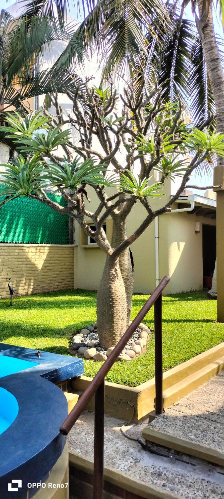Villas Miramar Zihuatanejo Exteriér fotografie